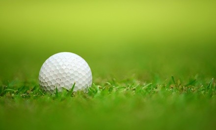 $25 for 30-Minute Golf Simulator Session at Premier Sports Center ($35 Value)