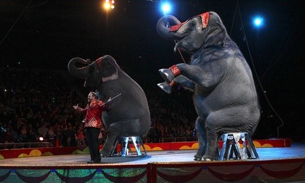 Zorah Shrine Circus (June 10–13)