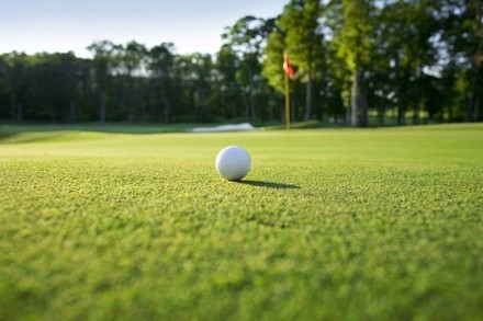 Up to 50% Off on Golf - Recreational at Stripe Show Golf Club