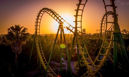 Single-Day Admission for One with an Optional Dining Pass at Wild Adventures Theme Park (Up to 23% Off)