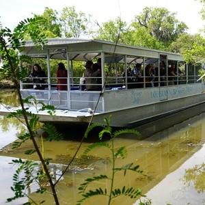 Swamp Boat Tour for One, Two, Four, or Six with Louisiana Tour Company (Up to 54% Off)