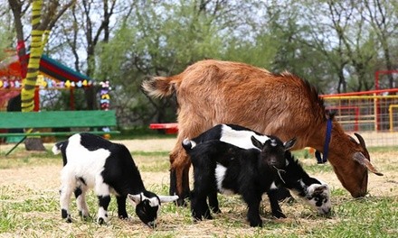 Admission to Friendly Farm Animals for 1, 2, or 4 from Green Meadows Farm, Through September 6 (Up to 29% Off)