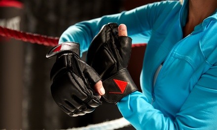 1 or 5 Boxing and Kickboxing or Extreme Body-Blast Classes at EXF Boxing and Kickboxing Academy (Up to 66% Off)