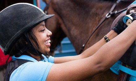 One or Four Introductory Private Horseback-Riding Lessons for One at Silver Lining Stables (Up to 38% Off)