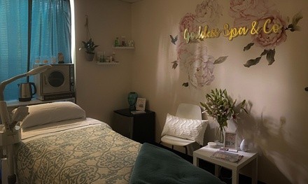 Up to 42% Off on In Spa Facial (Type of facial decided by customer) at Goddess Spa & Co.