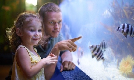 Up to 35% Off Zoo - Petting at SeaQuest Interactive Aquarium Littleton