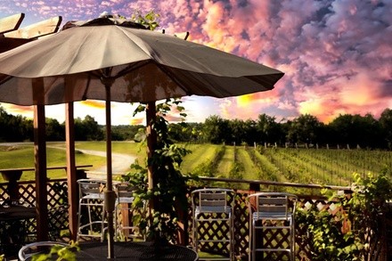 Up to 35% Off on Tour - Wine / Vineyard at Tidewater Winery and Events Center