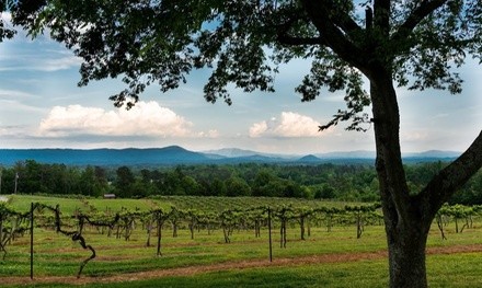 Cheese Tray with Complimentary Wine Glasses for One or Two at Tennessee Mountain View Winery (Up to 42% Off)