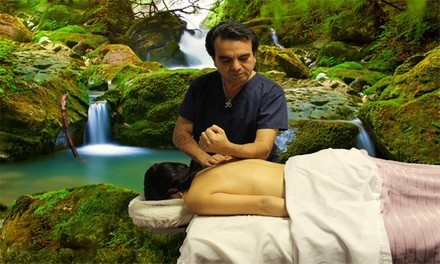 Up to 42% Off on Massage - Trigger Point at Luz Reiki