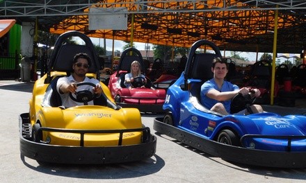 Go-Kart Package  & Gator Feeding for One or Two at Kissimmee Go-Karts (Up to 45% Off) 