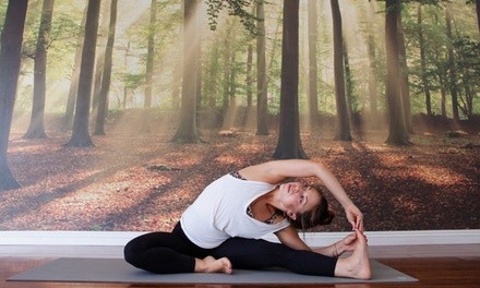 $15 for One Month of Unlimited Online Yoga Classes from Namaste ($19 Value)