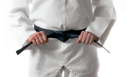 Up to 87% Off on Martial Arts / Karate / MMA - Activities at Kim-Masters UTC