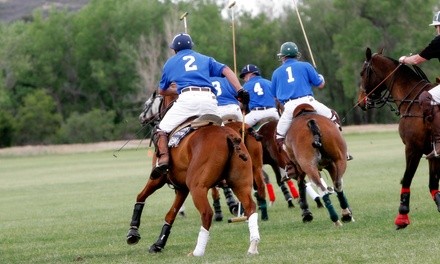 Polo Lesson or Polo Experience at Lakeshore Polo Academy (Up to 16% Off). Five Options Available.
