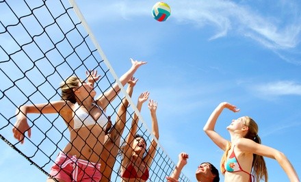 Up to 50% Off on Volleyball - Recreational at The Fit and Well Club
