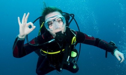 Scuba Lesson with Gear and Credit Toward Certification Course for 1 or 2 at Southeastern Divers (Up to 60% Off)