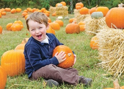 $26.46 For A Early Bird 2021 Season Pass (Valid Sept 25th-Oct 31st, 2021)(Reg. $52.95)