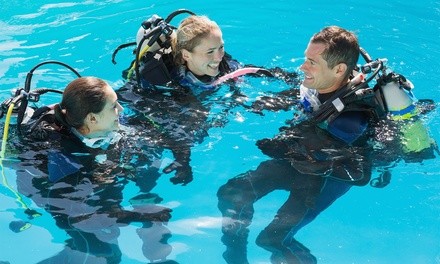 PADI Open-Water Scuba-Certification Course for One or Two at Odyssea by Fletcher (Up to 50% Off)