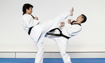 One- or Two-Month Taekwondo Classes for One or Two at White Tiger Martial Arts Chicago (Up to 58% Off)