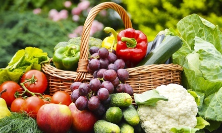 Up to 50% Off on Nutritionist at Christine D'Angelo Certified Nutritional Conselor