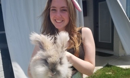 White Rabbit or Wonderland Party from The Lop Shop (Up to 10% Off)