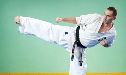 $91 for $165 Worth of Martial-Arts Lessons — American Colleges Of Kombido