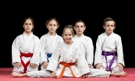 One-Month of Classes for One or Two, or One Karate Birthday Party at Family Martial Arts (Up to 63% Off)