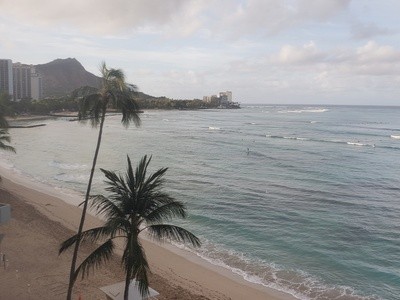 Up to 50% Off on Bus Transport Service at Hawaiian Island Transportation Services LLC