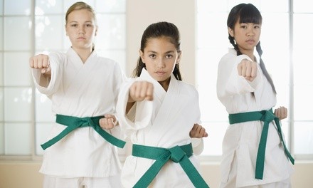 $45 for $180 Worth of Martial-Arts Lessons — Iacullo's Karate-Jiu Jitsu Studio of Self Defense