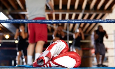 Up to 58% Off on Boxing / Kickboxing - Recreational at Cardio Kings Fitness Boxing