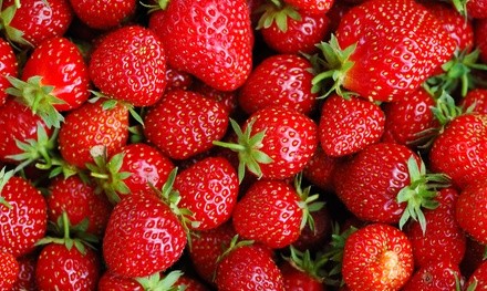 Fredericksburg Strawberry Festival on Saturday, August 7