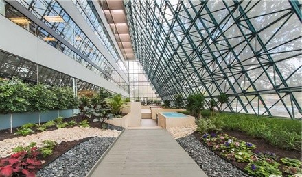 Up to 75% Off on Tattoo Removal at EOS Tattoo Removal