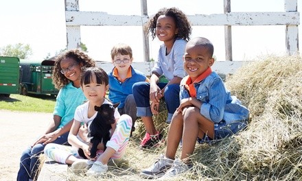 Fredericksburg Goatstock, Cheese, Live Music and Wine Festival on Saturday, September 11