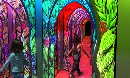 Mirror Maze All-Day Pass for One, Two, or Four at Odysea Mirror Maze (Up to 25% Off)