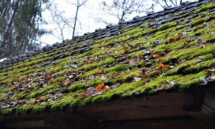 Up to 20% Off on Roof Moss Removal at Renewal Cleaning