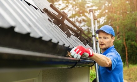 Up to 25% Off on Gutter Cleaning at The Pristine Pros (Pressure Washing, & Roof Cleaning)