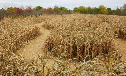Corn Maze Admission for Two or Four at Stewart Farms (Up to 34% Off)