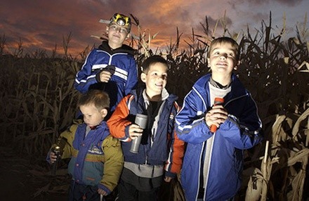 Maze and Haunted Trail Admission for Two or Four at HarvestMoon Fun Farm on October 2–30 (Up to 38% Off)