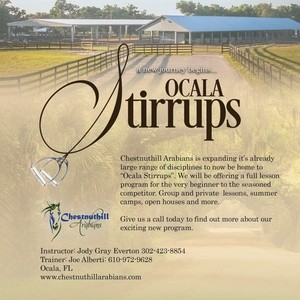 Up to 50% Off on Horse Back Riding - Training at Ocala Stirrups