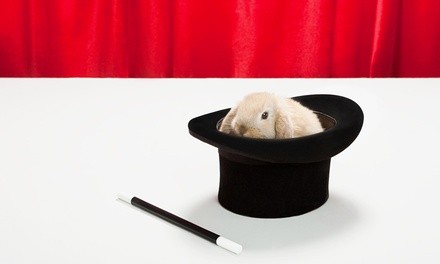 Admission to Petting Zoo Magic for One, Two, or Four from Green Meadows Farm (Up to 29% Off)