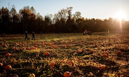 Singe-Day General Admission for One or Two to Cornucopia Farm, September 11–October 31 (Up to 30% Off)