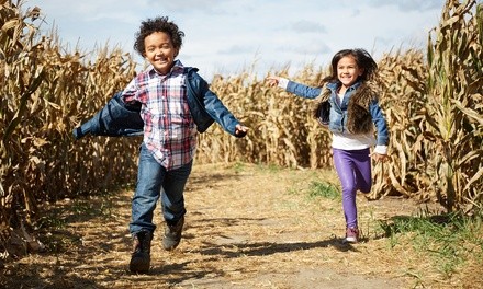 Single-Day General Admission for One, Two, Four, or Six to Camp Fontanelle (Up to 50% Off)