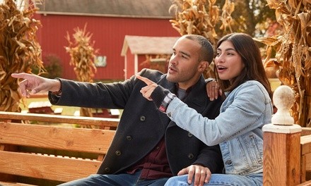 Forever Forest Weekend Jamboree Admission for One, Two, Three, or Four to Forever Forest (Up to 27% Off)