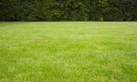 Up to 34% Off on Grass Installation at Grassy Solutions LLC