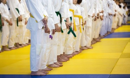 Up to 60% Off on Kids Fitness Classes at Global Martial Arts