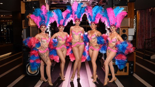 Saucy and Sultry Fun With Dirty Little Secrets Burlesque Show