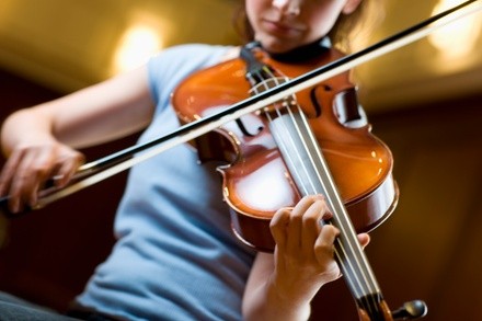 Up to 36% Off on Beginners Violin Course 