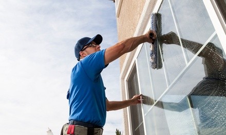 Window Cleaning for Full Home (Up to 20 Windows) from AM Window Cleaning & Tint (Up to 55% Off)