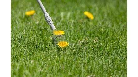 $85 for Lawn Weed Control and Fertilizer Application for up to 5,000 Sq. Ft ($129 Value)