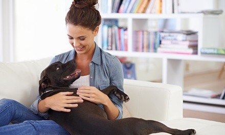 Up to 35% Off on Pet - Waste Removal at Tampa Bay Poo Patrol