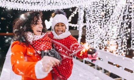 Single-Day Admission to Hollydays Market, or Muffin and Mimosa Package with Entry, December 3–4 (Up to 40% Off)